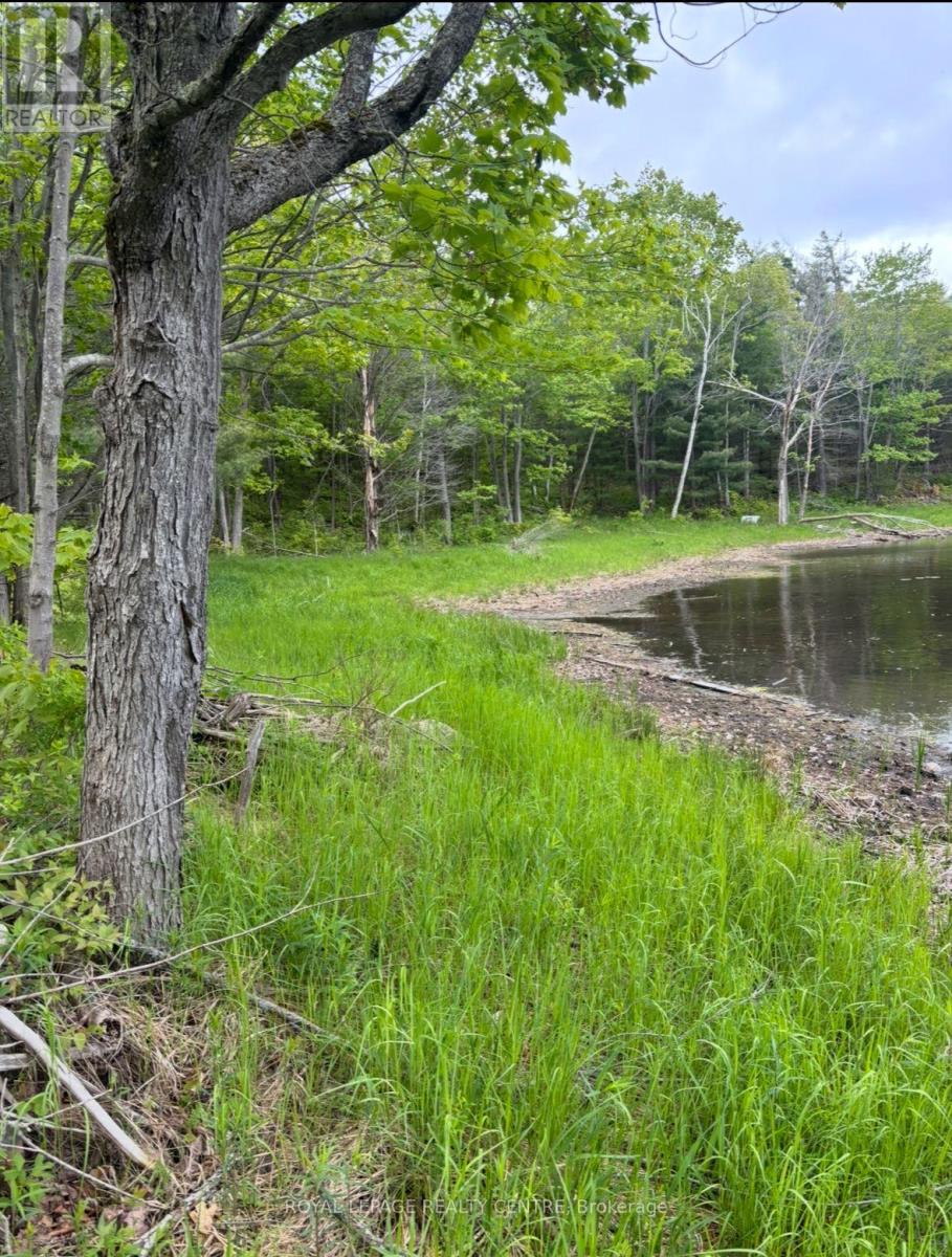 10540 Georgian Bay Shore Property Photo 5