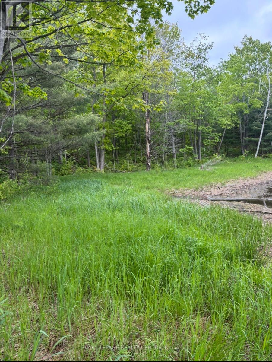 10540 Georgian Bay Shore Property Photo 6