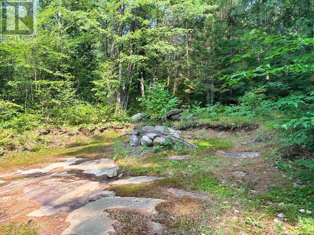 663 Skootamatta Lake Road Property Photo 6