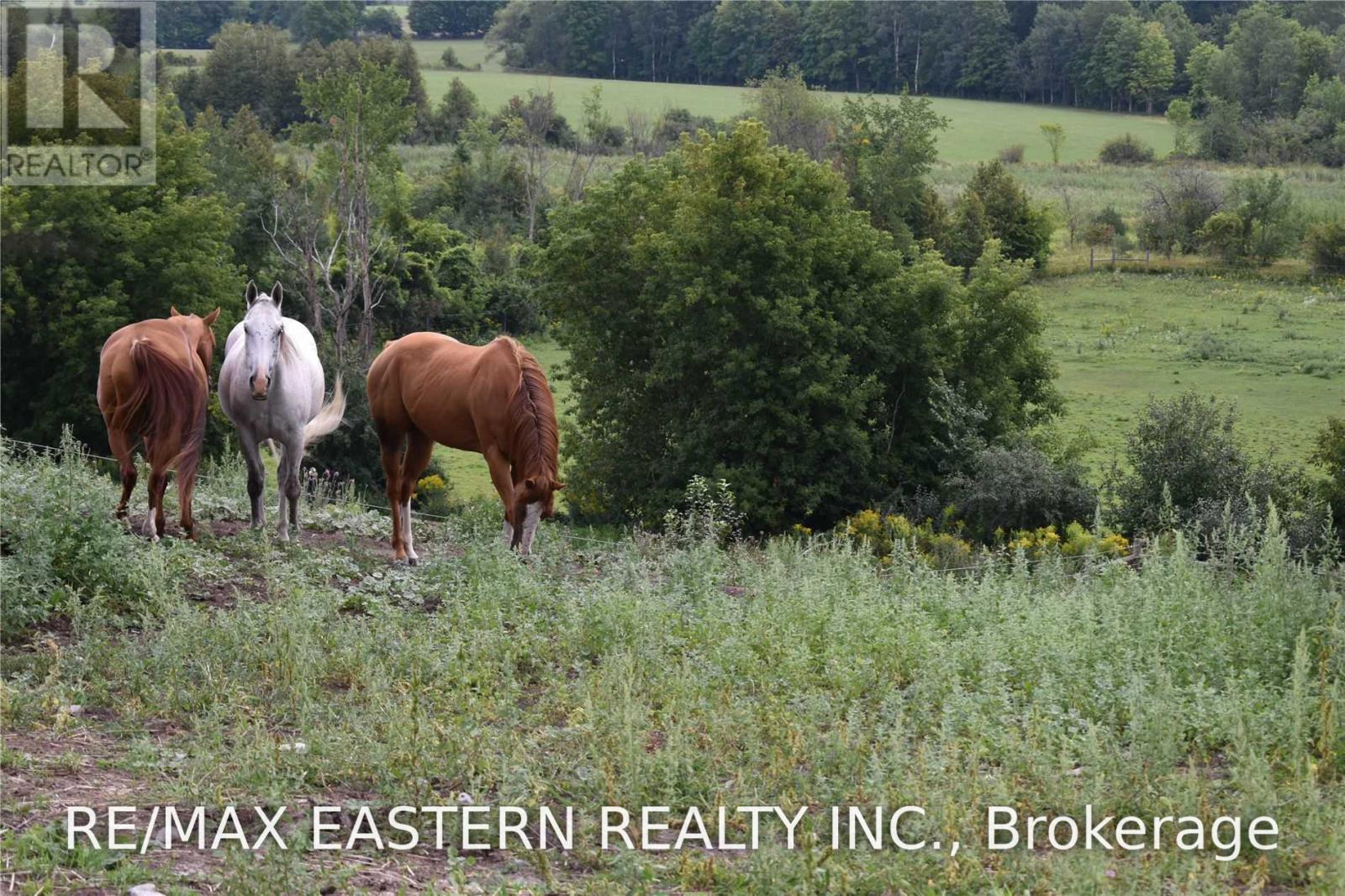583 Second Line Property Photo 13
