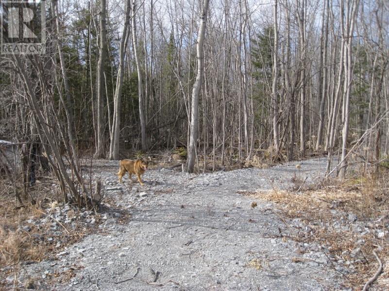 0 Mervin Line Property Photo 3