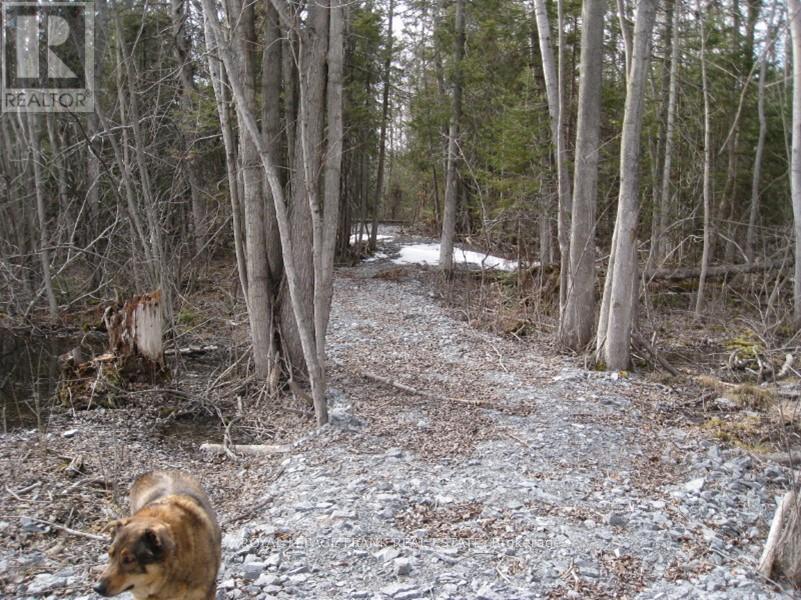 0 Mervin Line Property Photo 5