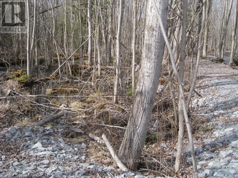 0 Mervin Line Property Photo 6