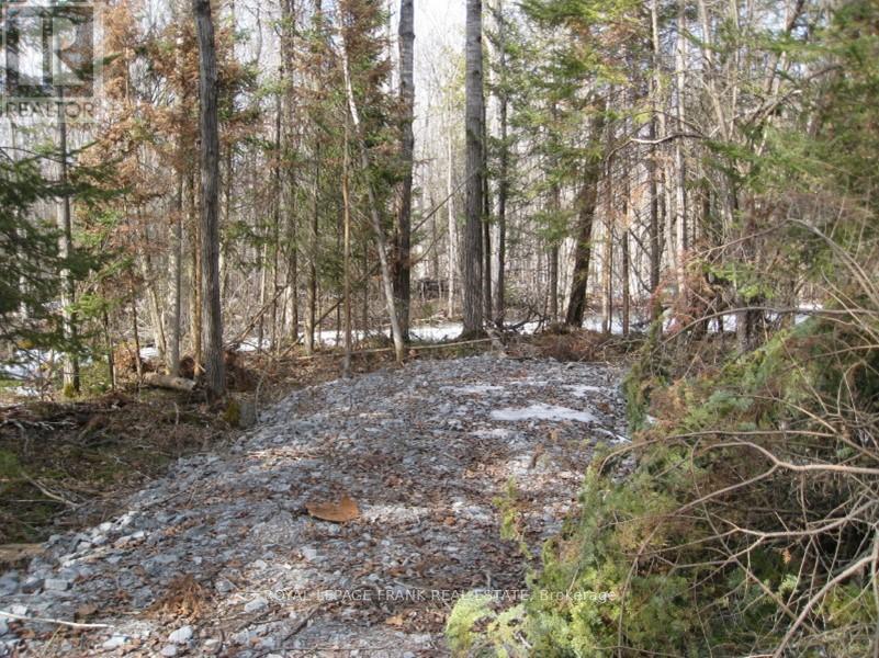0 Mervin Line Property Photo 7