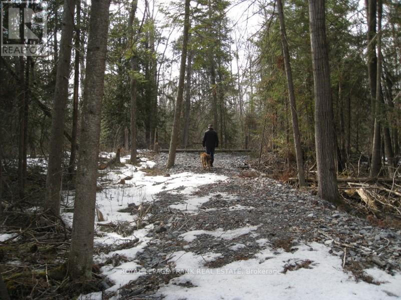0 Mervin Line Property Photo 8