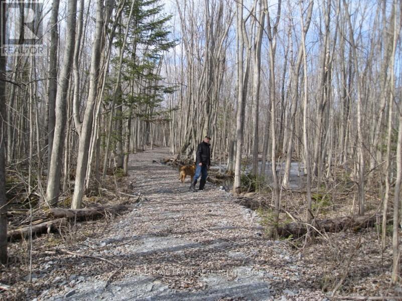 0 Mervin Line Property Photo 10