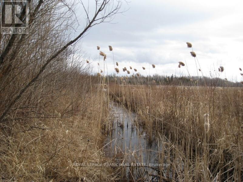 0 Mervin Line Property Photo 14