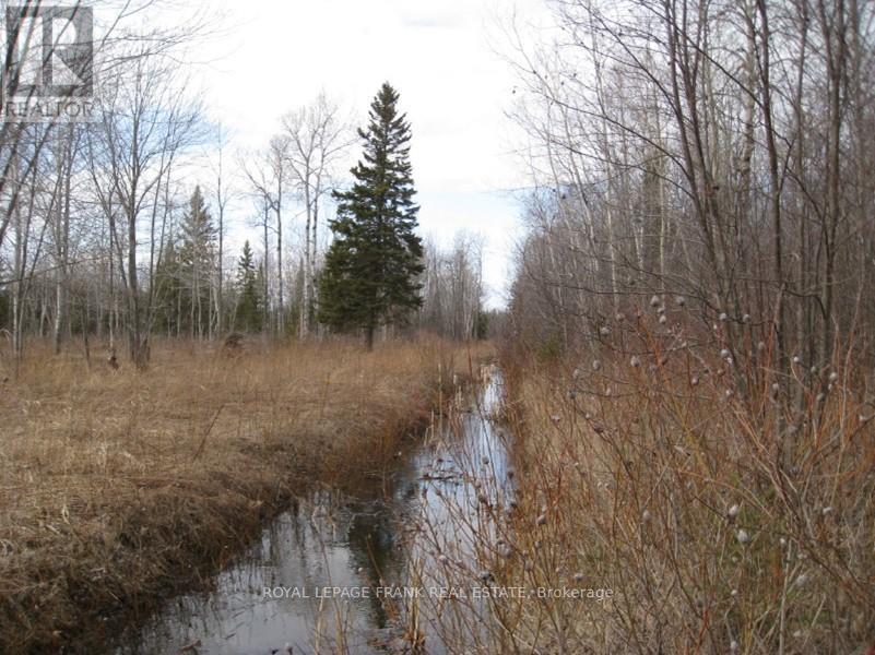 0 Mervin Line Property Photo 15