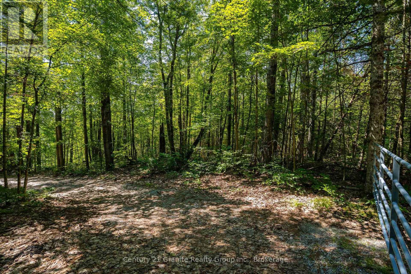 1037 Rotunda Drive Property Photo 10