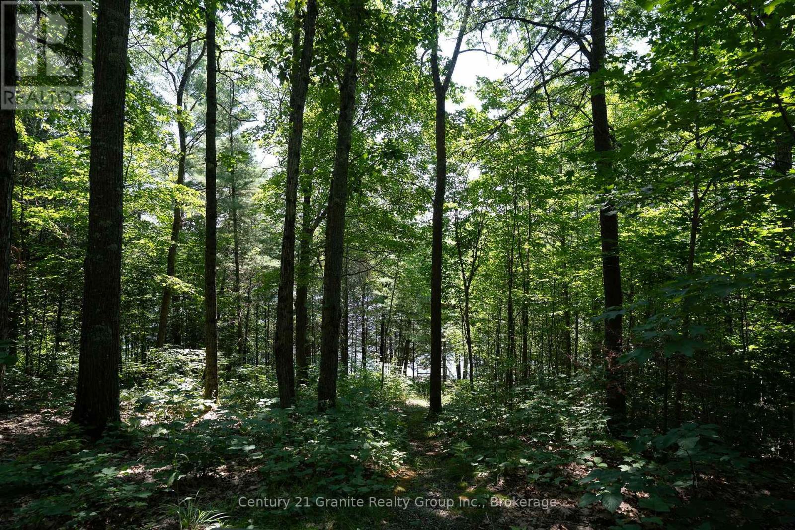 1037 Rotunda Drive Property Photo 11