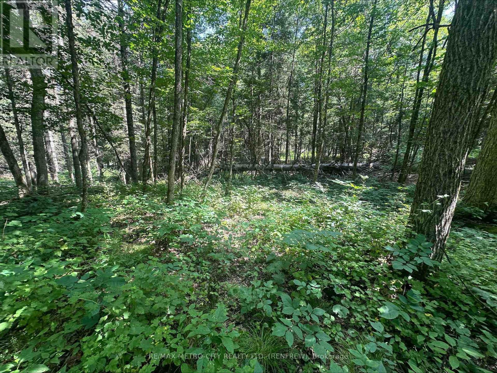 0 Mount St Patrick Road Property Photo 11