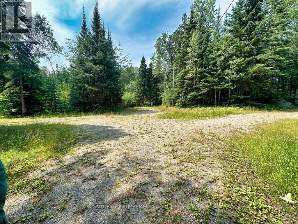 358 Hwy 11/17 Property Photo 32