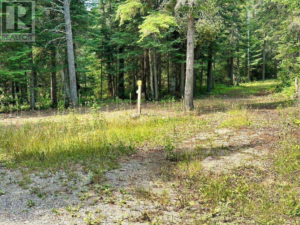 358 Hwy 11/17 Property Photo 33