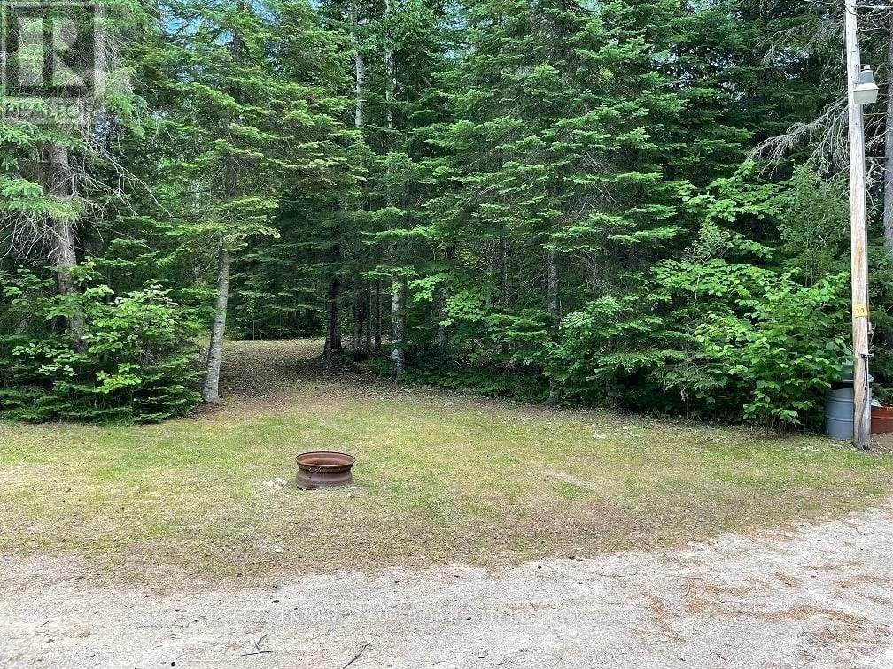358 Hwy 11/17 Property Photo 34