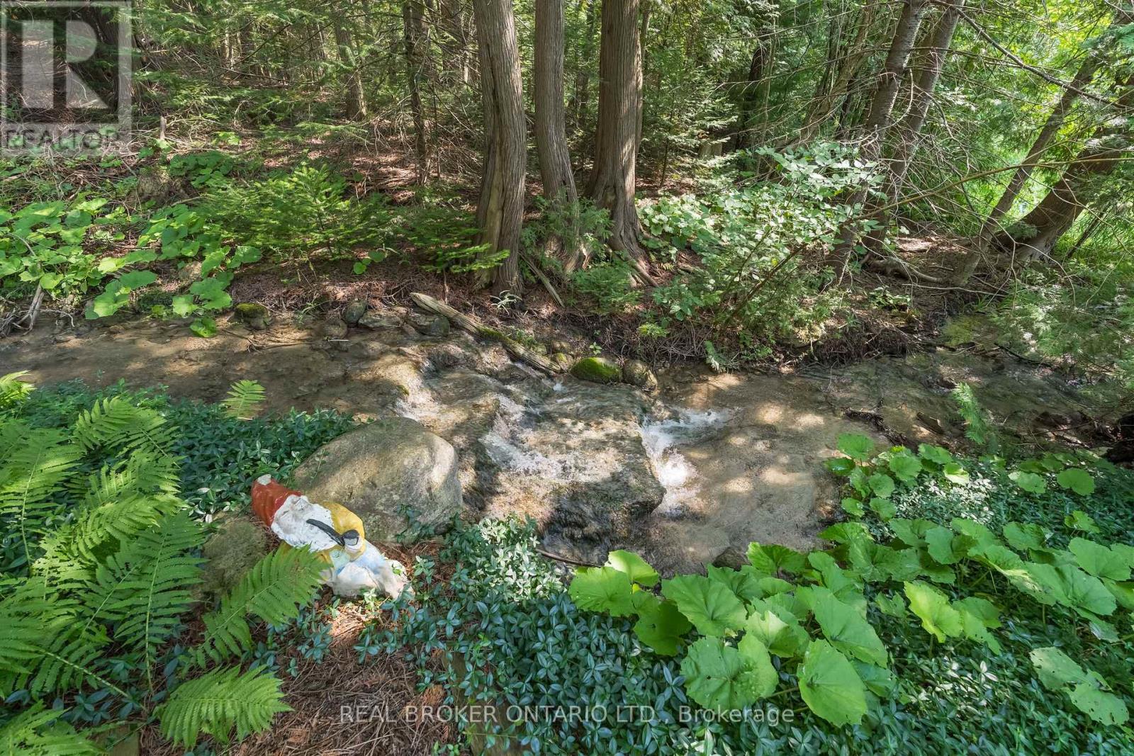 30725 Hockley Road Property Photo 2