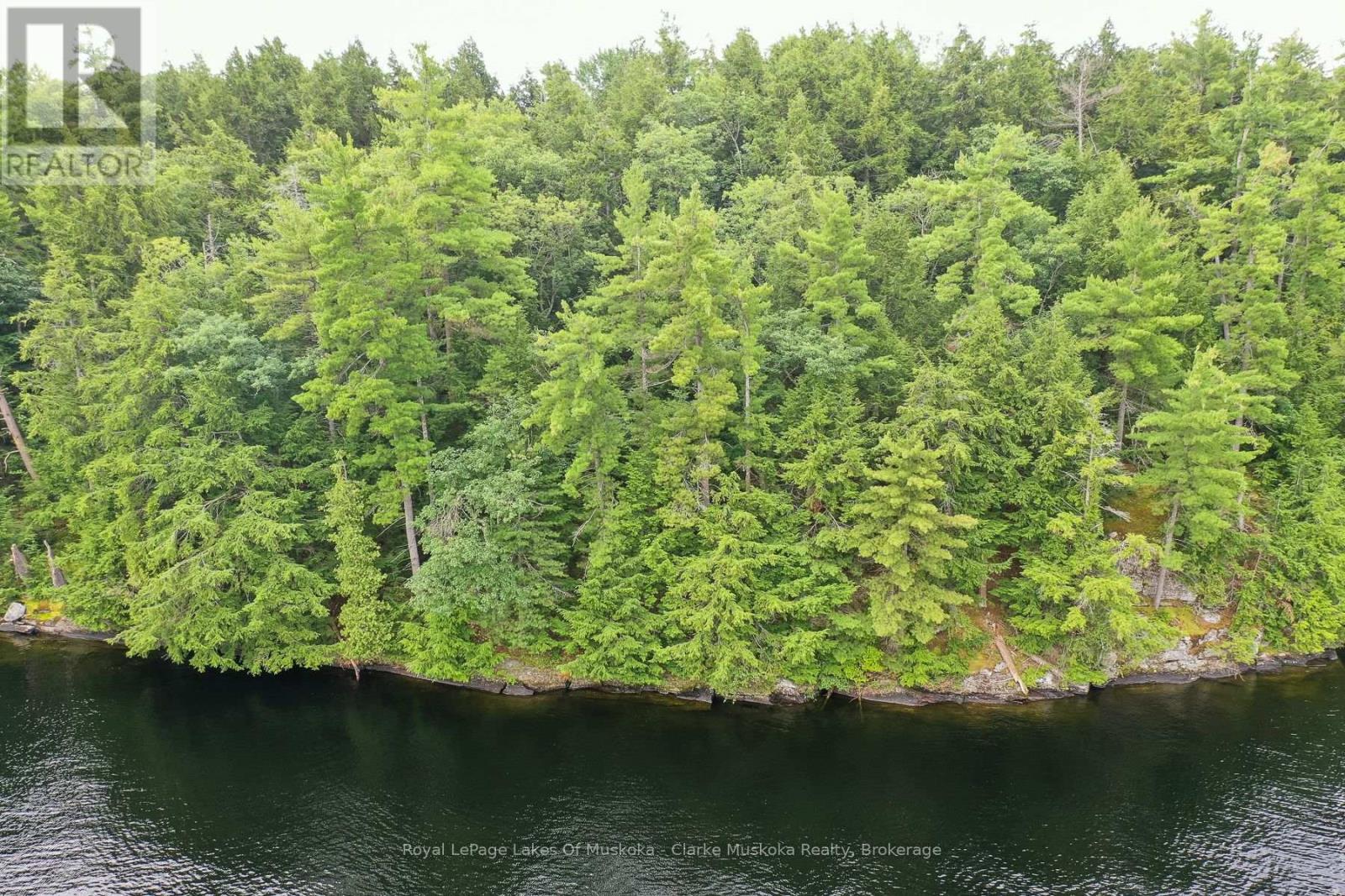0 Muskoka Lake Property Photo 10