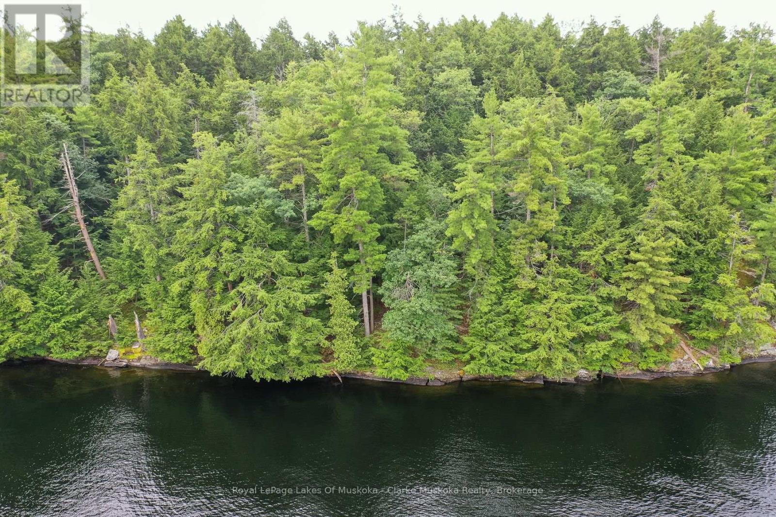 0 Muskoka Lake Property Photo 11