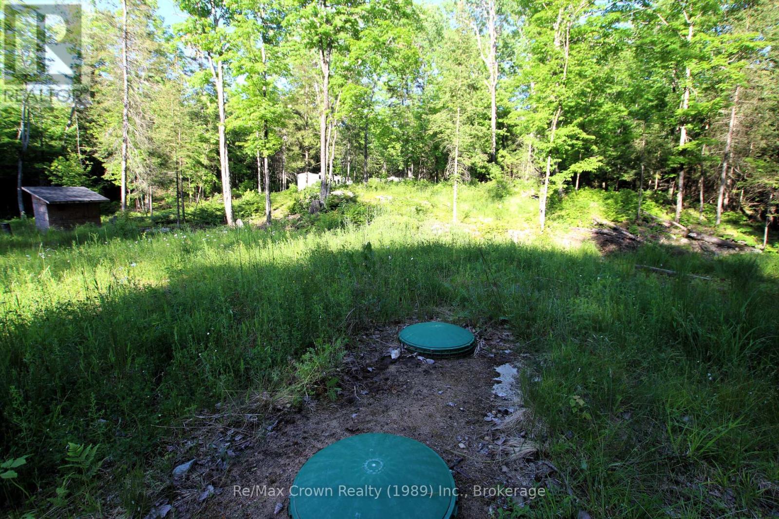 453 Pilgers Road Property Photo 5