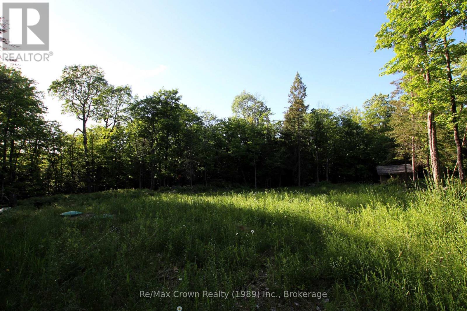 453 Pilgers Road Property Photo 6