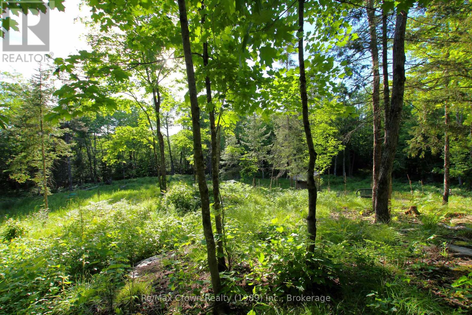 453 Pilgers Road Property Photo 7