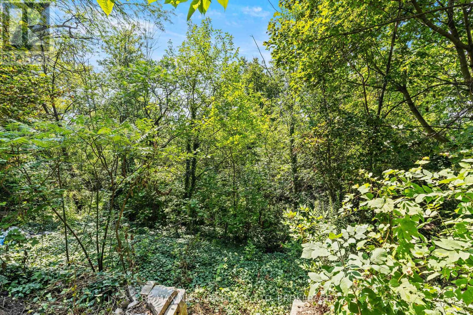 8 Cullen Drive Property Photo 32