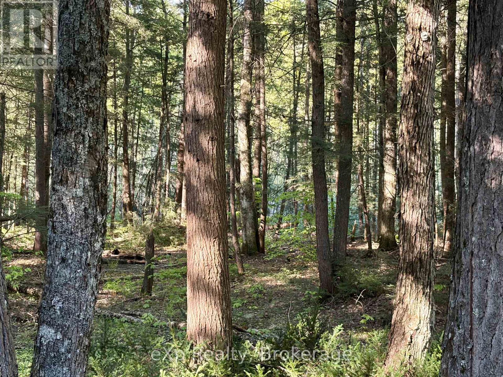 1080 Milne Road Property Photo 13