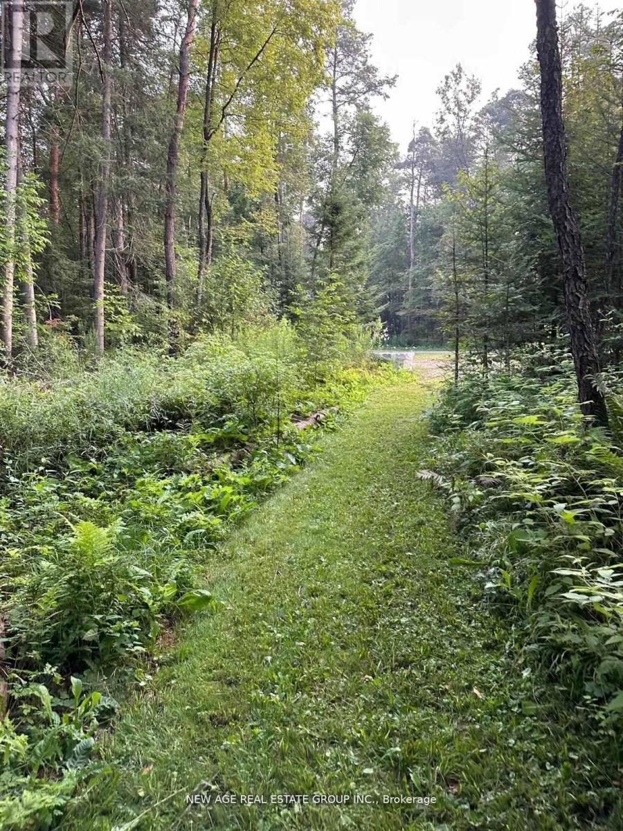 Br1 - 9031 Sideroad 17 Property Photo 28