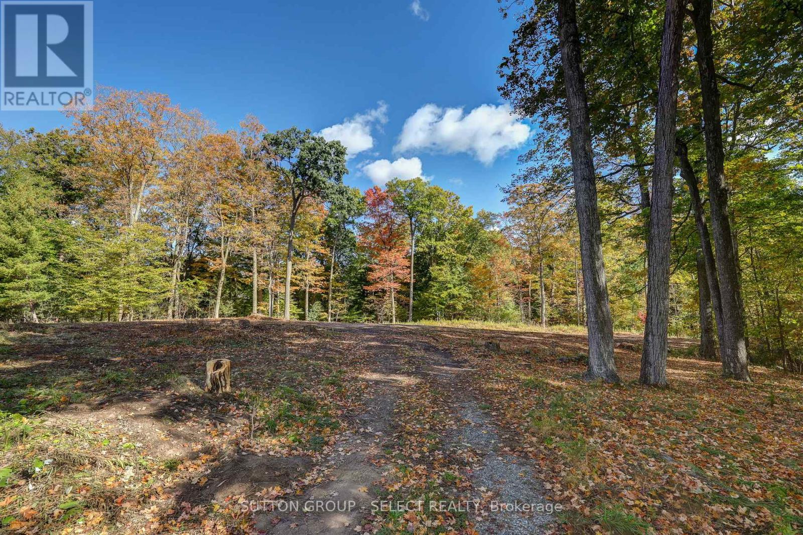 2564 Woodhull Road Property Photo 32