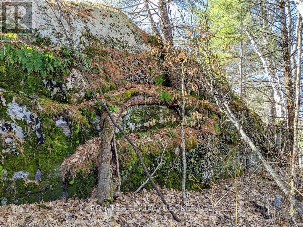 1322 Boomhauer Road Property Photo 7