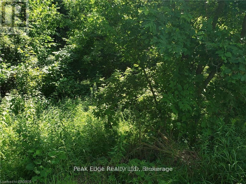 Part Lot 28 12 Concession S Property Photo 3