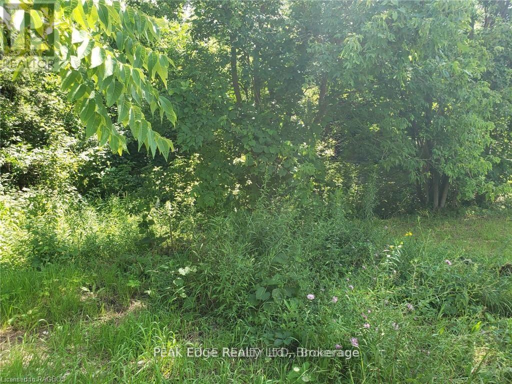 Part Lot 28 12 Concession S Property Photo 6