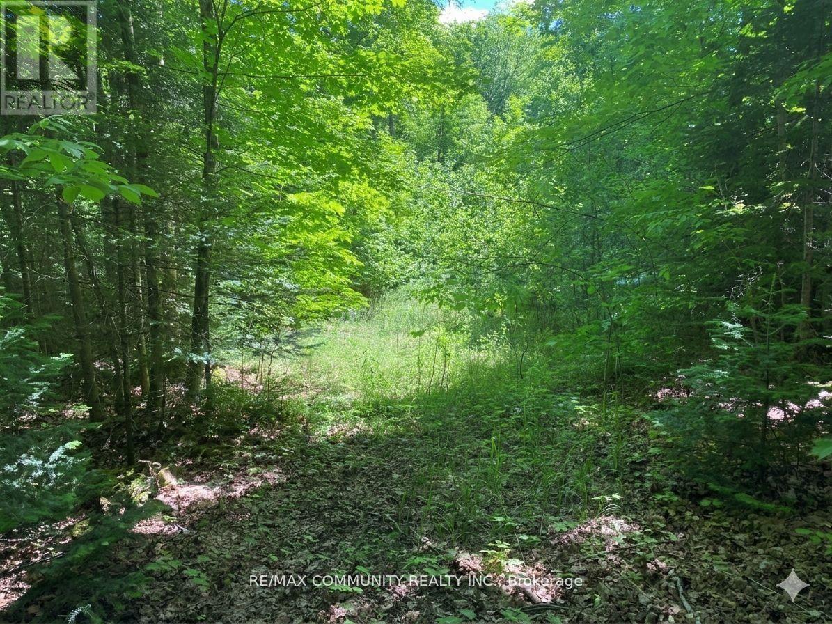12 Con Concession Property Photo 3