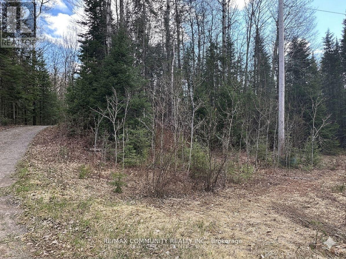 12 Con Concession Property Photo 4
