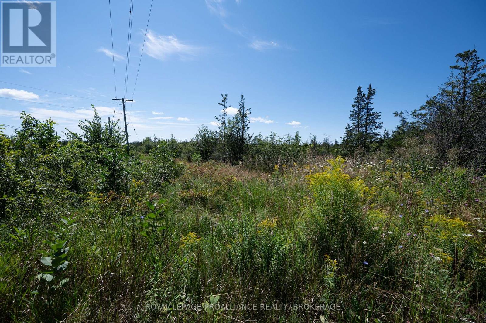 1707 County Road 2 Property Photo 7