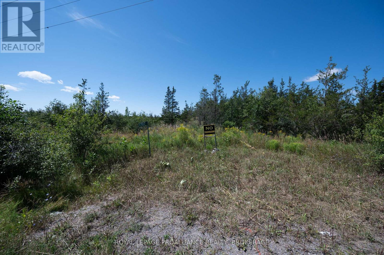 1707 County Road 2 Property Photo 8