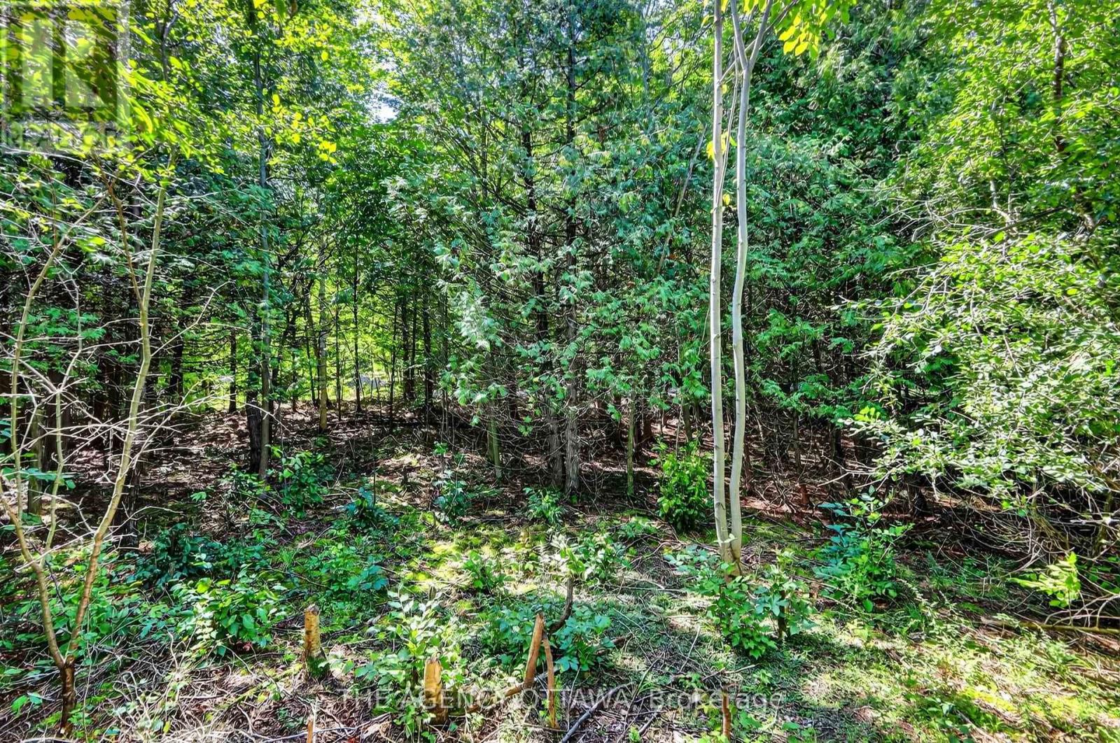 00 Piper's Bay Lane Property Photo 37