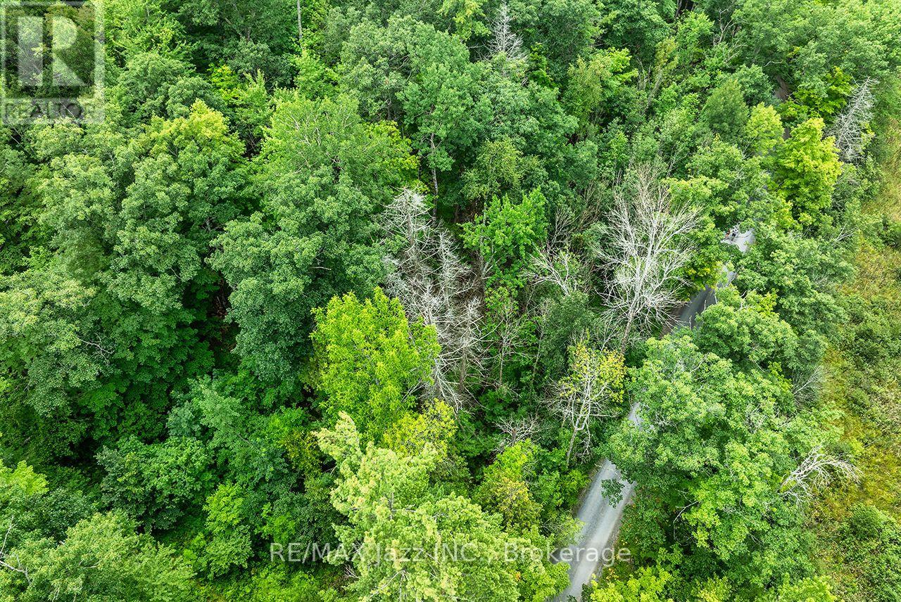 147 Fire Route 8 Property Photo 5