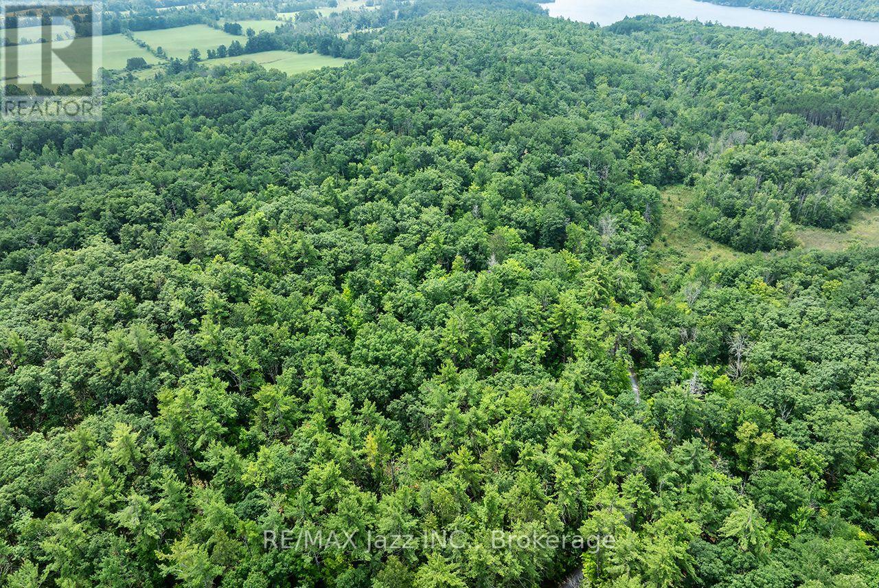 147 Fire Route 8 Property Photo 8
