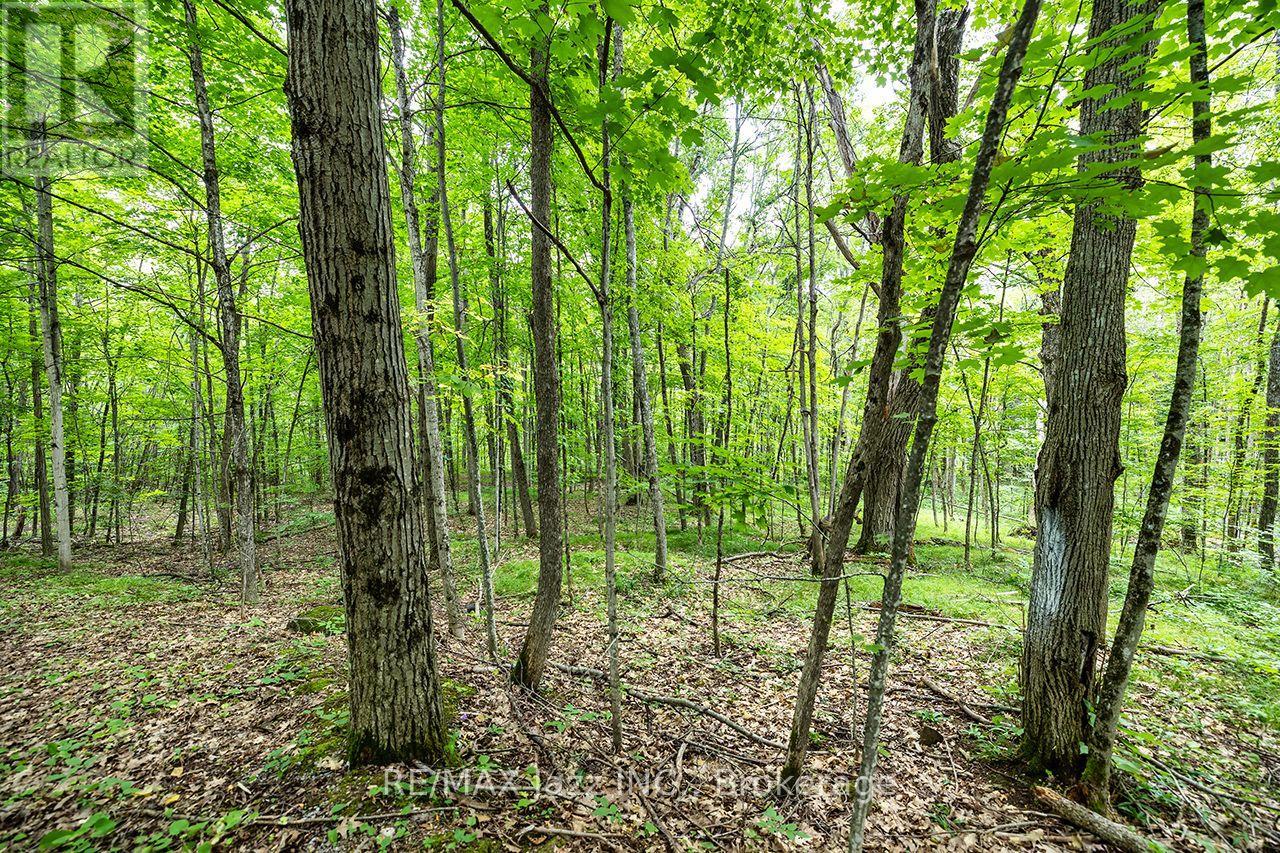 147 Fire Route 8 Property Photo 25