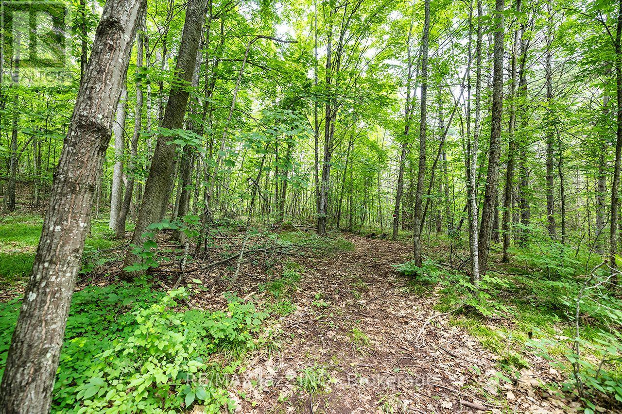 147 Fire Route 8 Property Photo 31