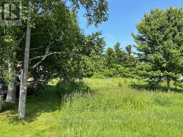 0 County Rd 12 Road Property Photo 5