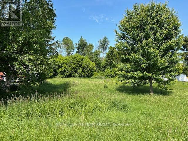0 County Rd 12 Road Property Photo 6