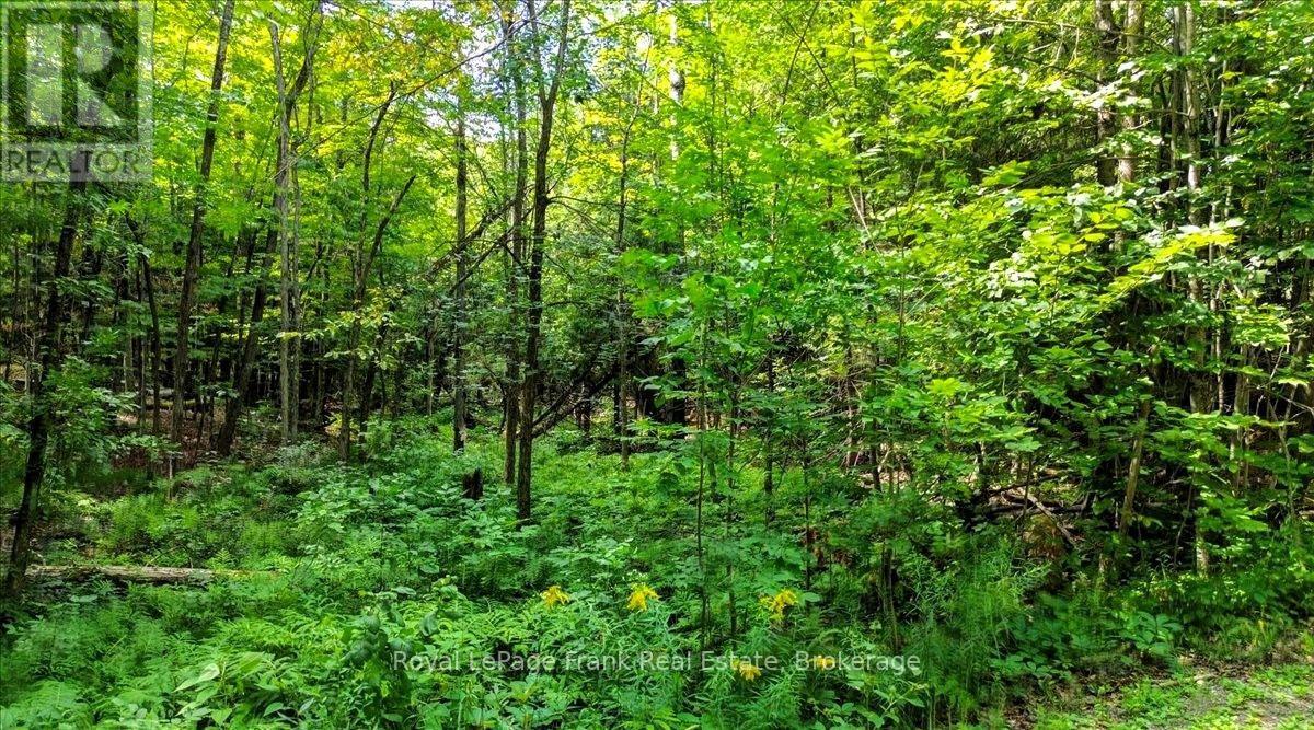0 North Rusaw Road Property Photo 8