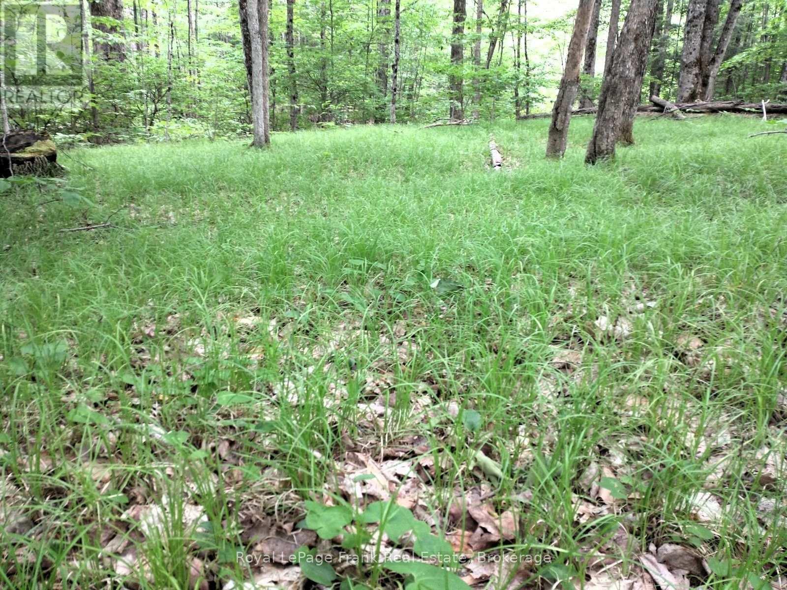 0 North Rusaw Road Property Photo 14