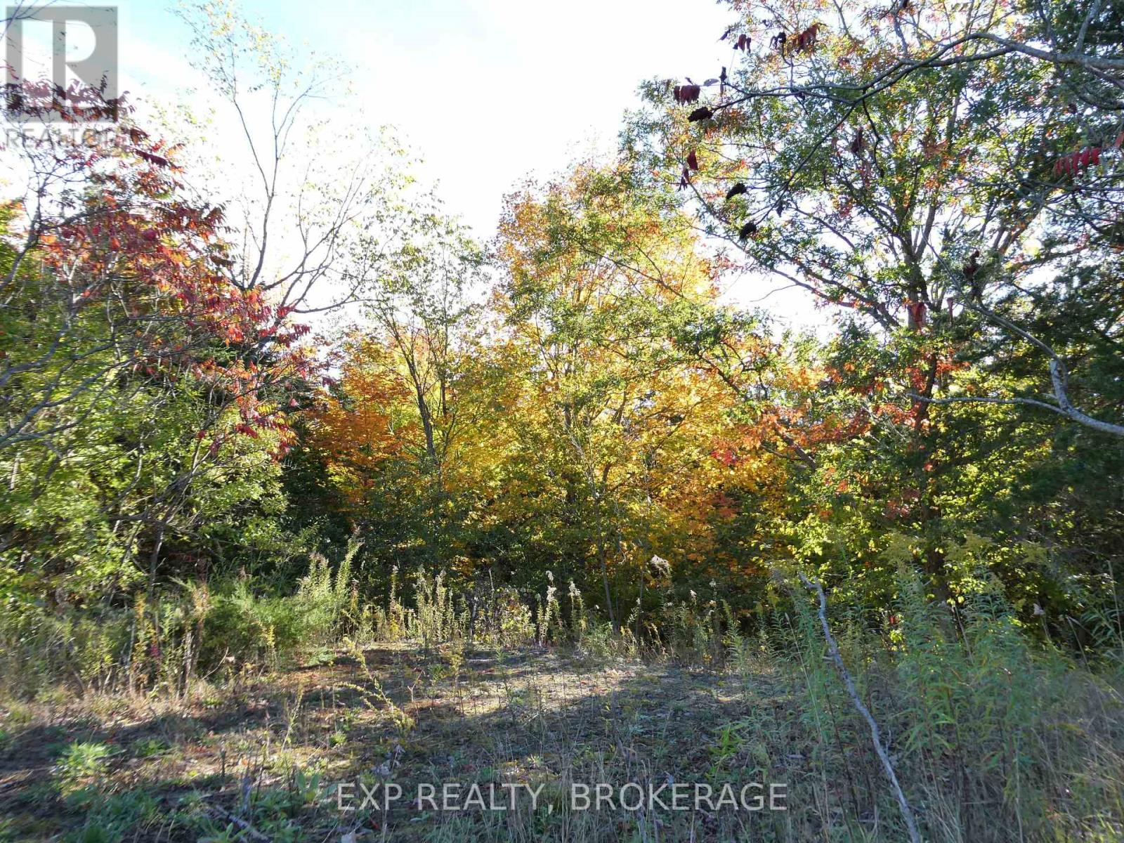 Pt Lt 23 Con 7 Pebble Lane S Property Photo 4