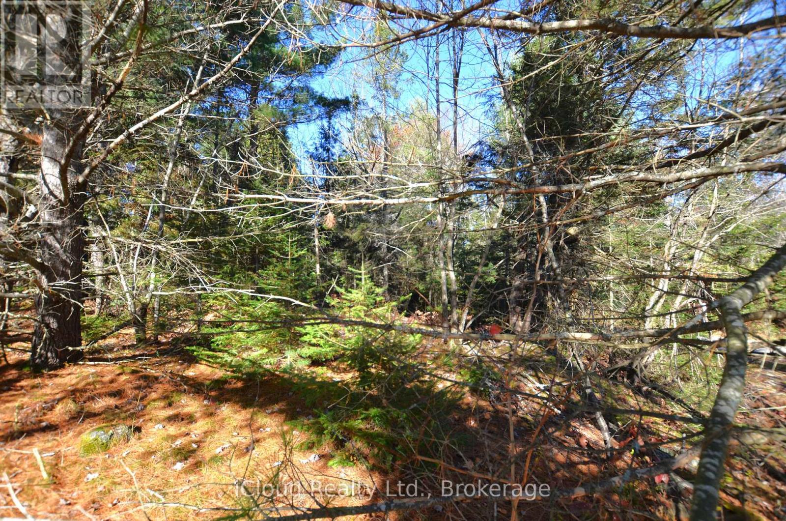 2 Parker Bay Road Property Photo 5
