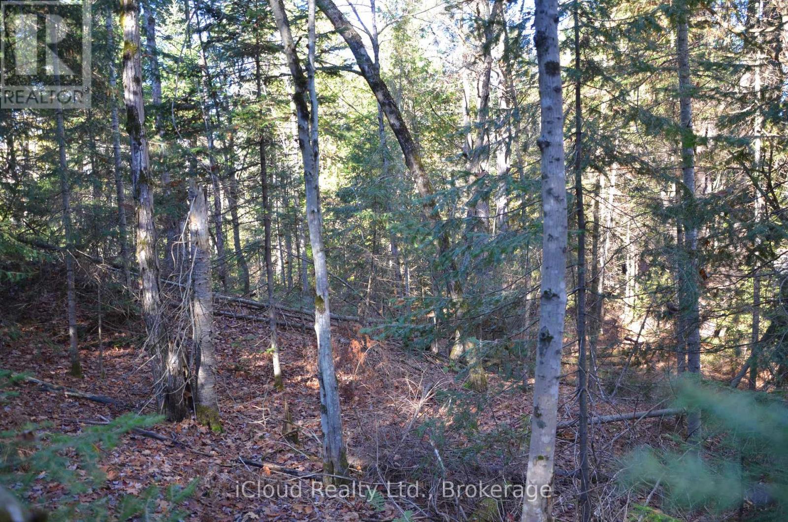 2 Parker Bay Road Property Photo 12