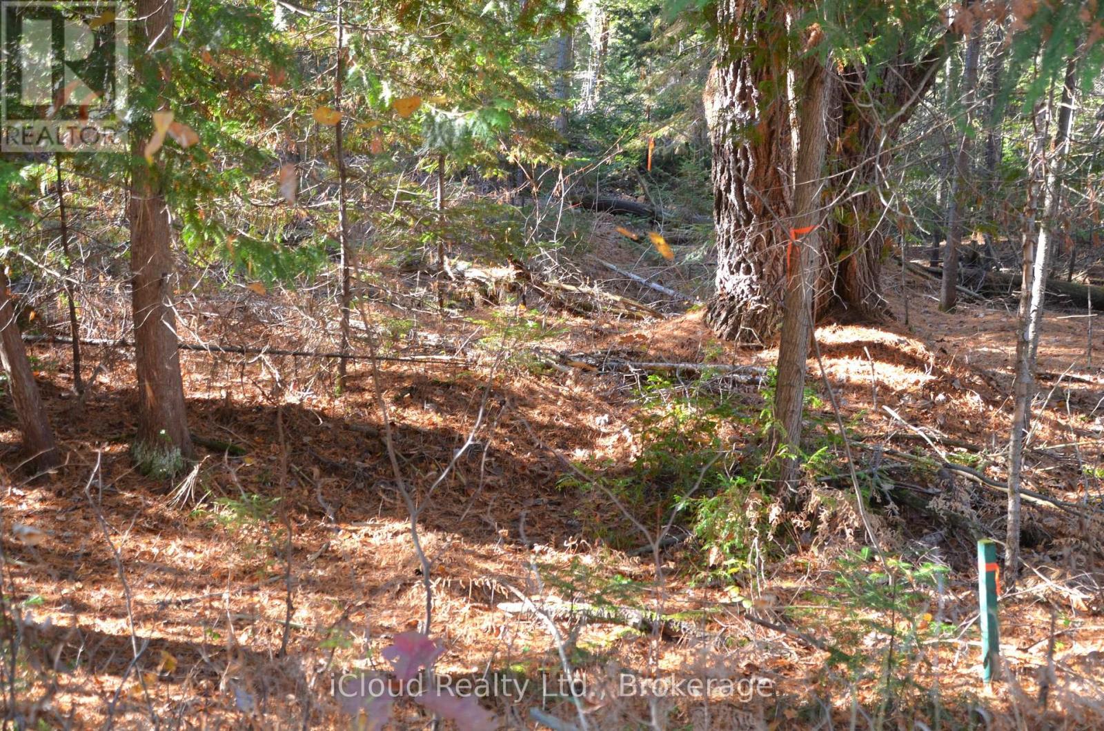 2 Parker Bay Road Property Photo 14