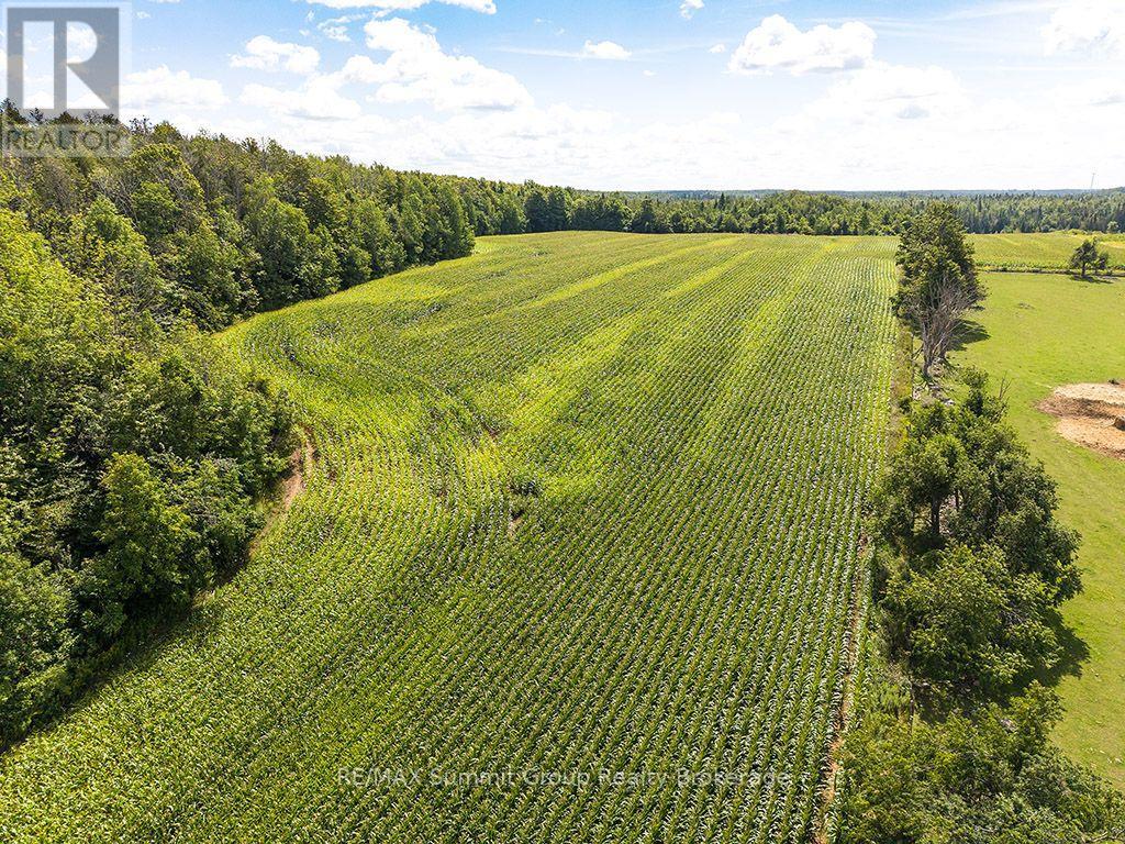 449686 10th Concession Road Property Photo 2