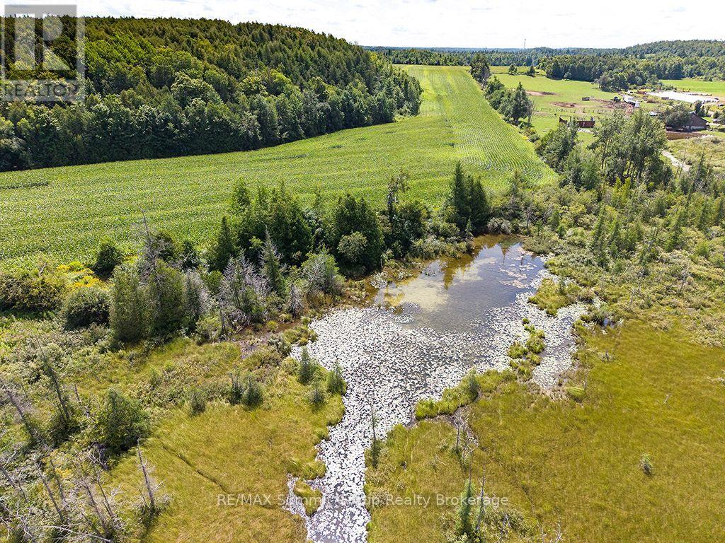 449686 10th Concession Road Property Photo 5